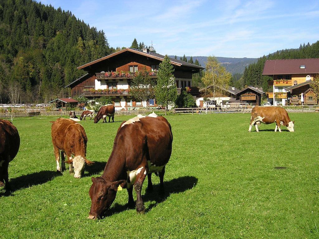 Villa Winklhuette Forstau  Esterno foto